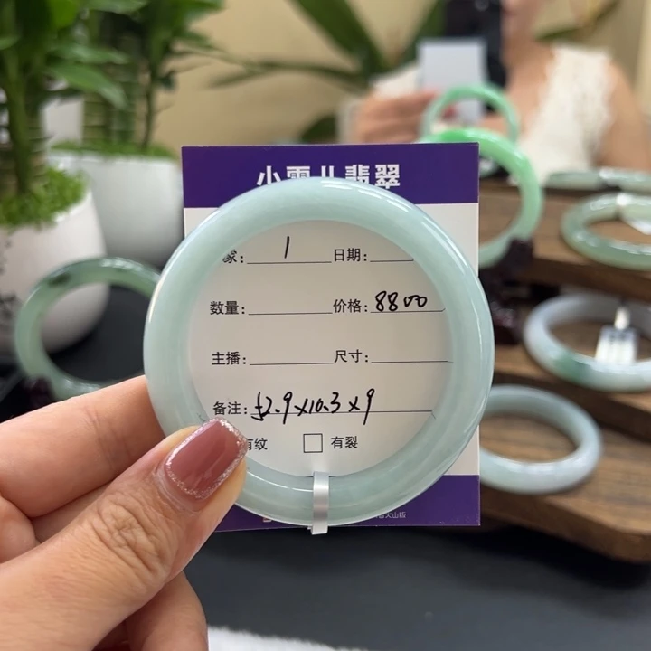 未镶嵌手镯翡翠1。