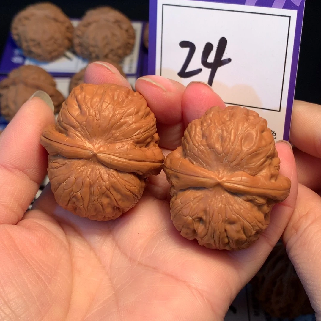 核桃24元宝4.3微修