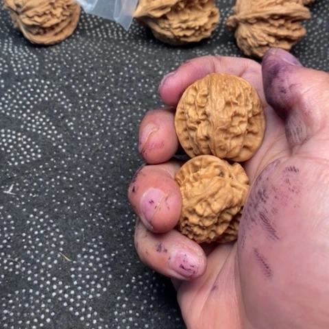 文玩核桃把件昌闷3.3