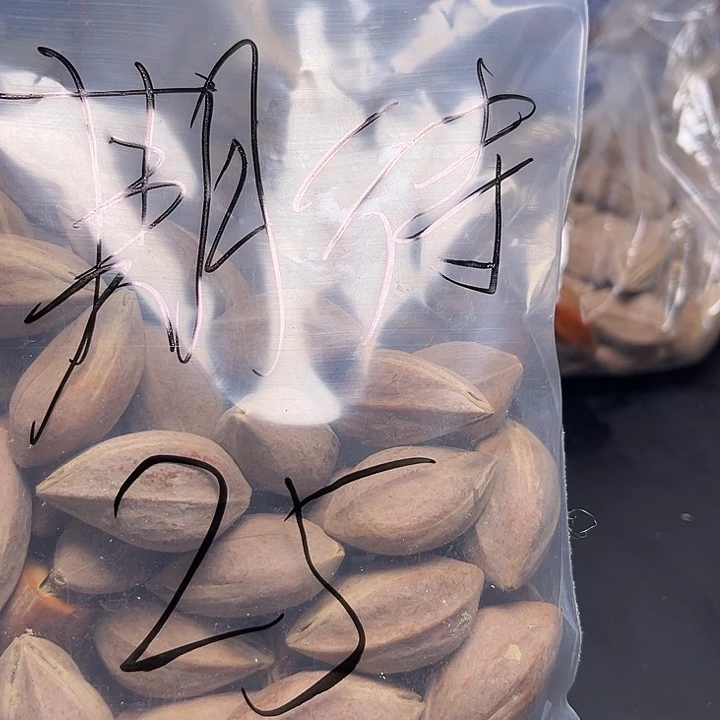 期***待橄榄核手串/手链1111