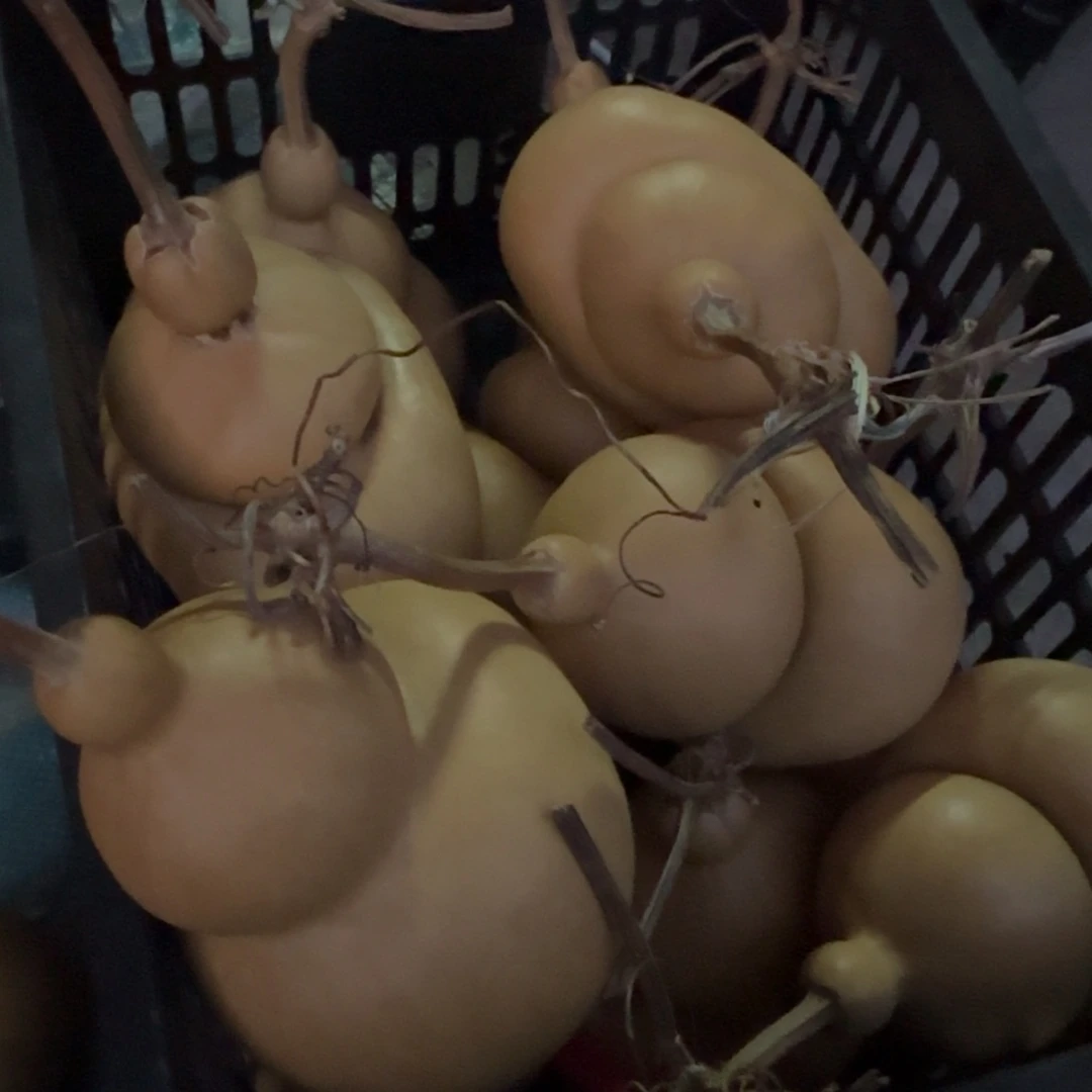 直播间钱袋一物一价