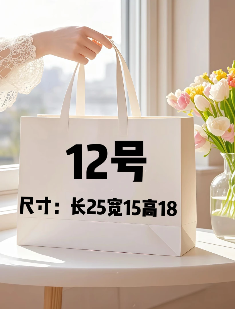 12号大号枕头包轻奢休闲A6556-6