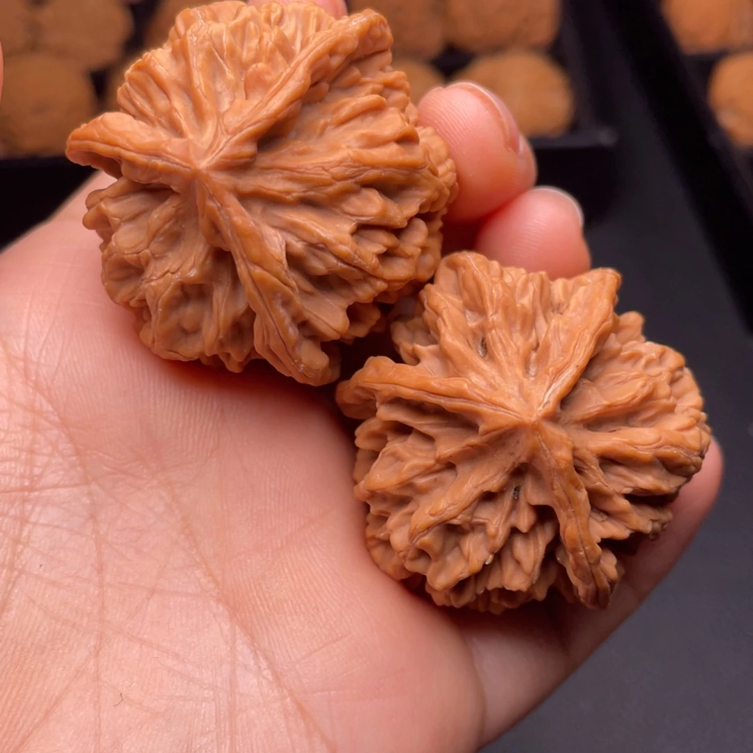 秦岭山脉文玩核桃
