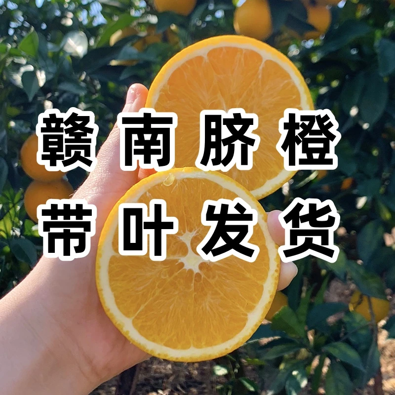 正宗赣南脐橙寻乌果园新鲜采摘发货甜橙子应季水果5/10斤【果香甜】