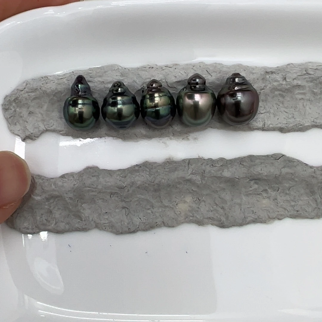 遛***猫未镶嵌海水珍珠裸珠