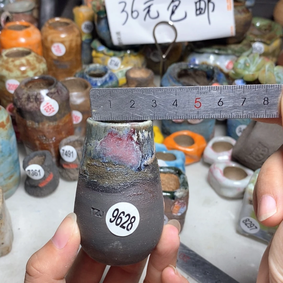拍5送一个小礼物