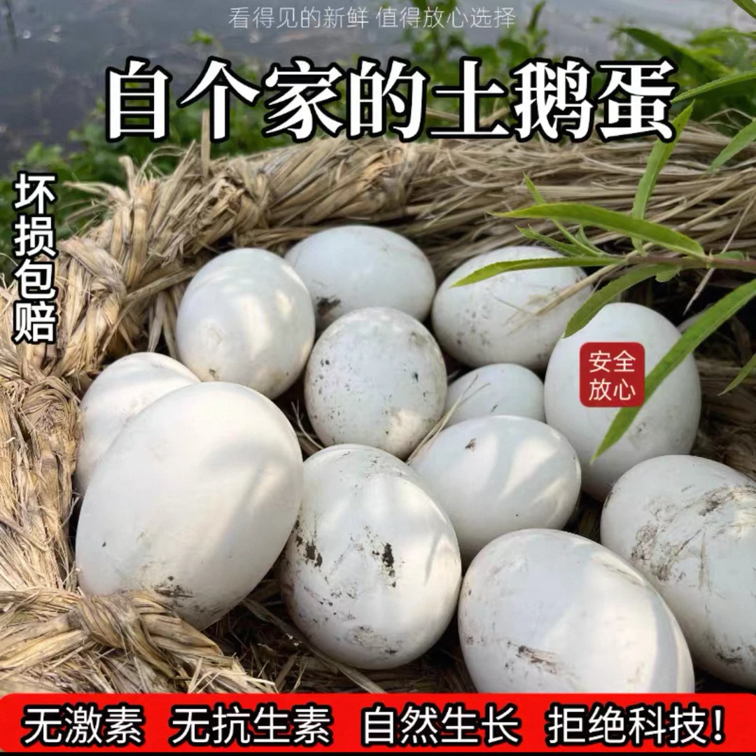新鲜农家散养土鹅蛋营养丰富适合孕妇宝宝