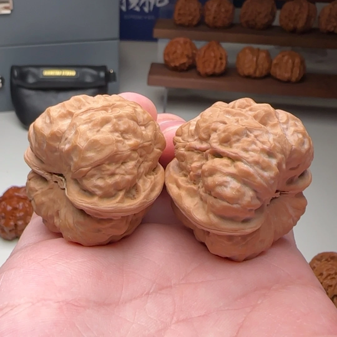 L38-40-34蛙蛙C8号