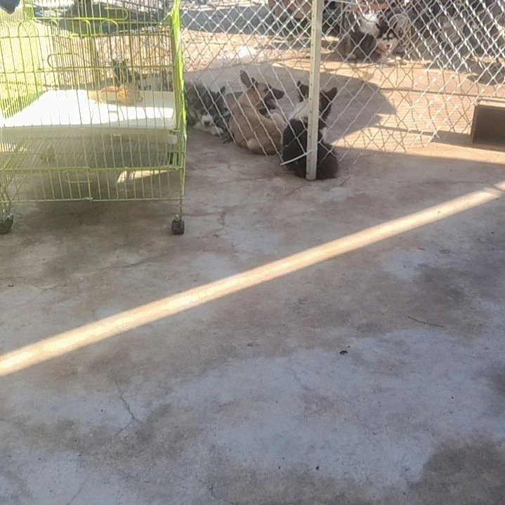 真皮座椅加热纯毛