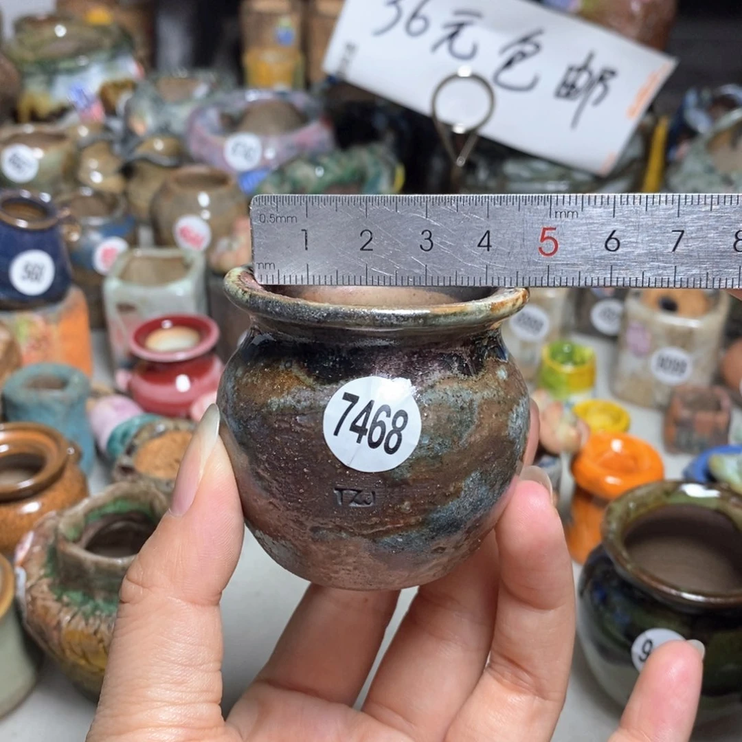 拍5送一个小礼物