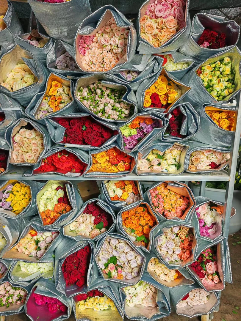 （单头混搭发货）鲜花玫瑰鲜花花束室内水培新鲜采摘