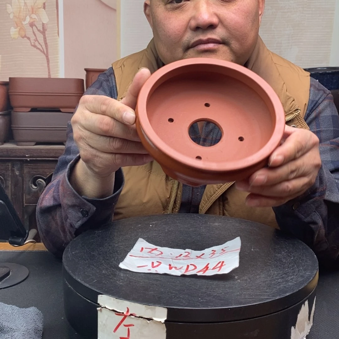 紫砂货号一只WP44