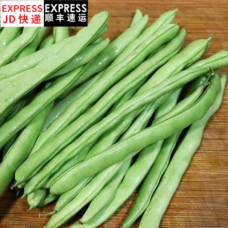 【奇幻果园】云南四季豆3斤/5斤装