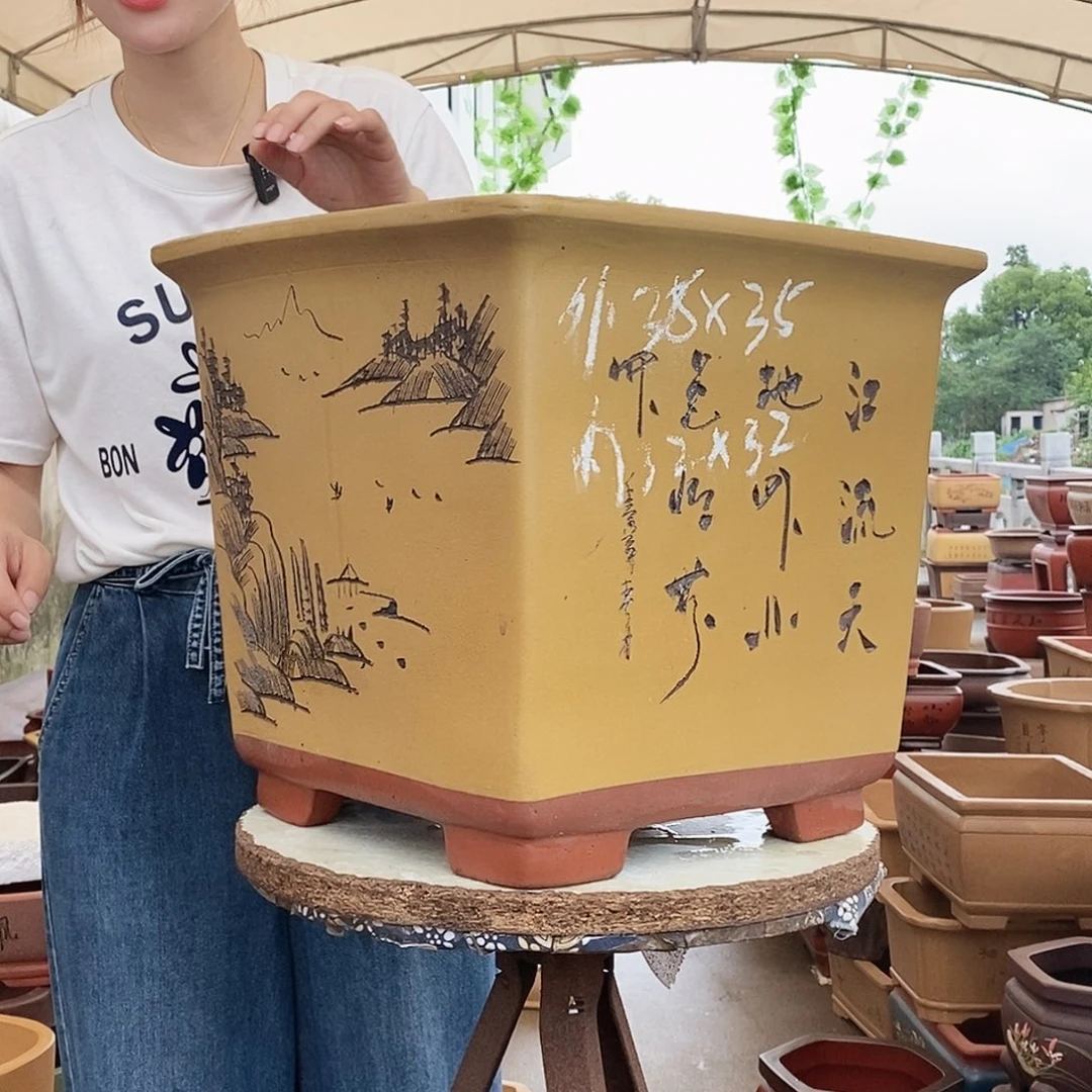 紫砂花盆紫砂花盆