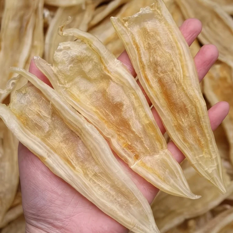双背鱼胶 【鸡嫂专属】