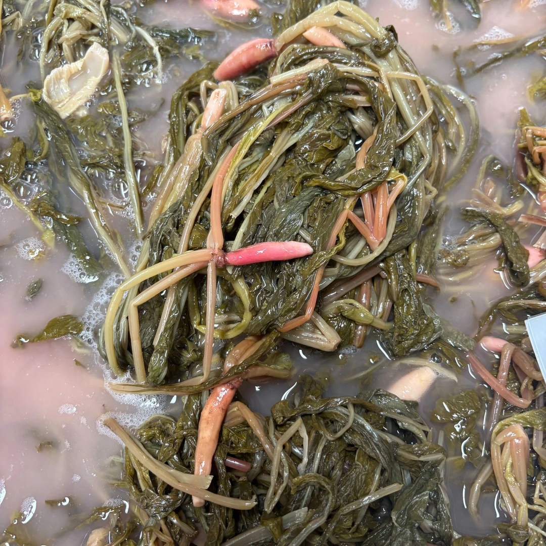 【贵州张雲峰】贵州特产正宗大缸腌制无盐萝卜菜酸菜素酸菜