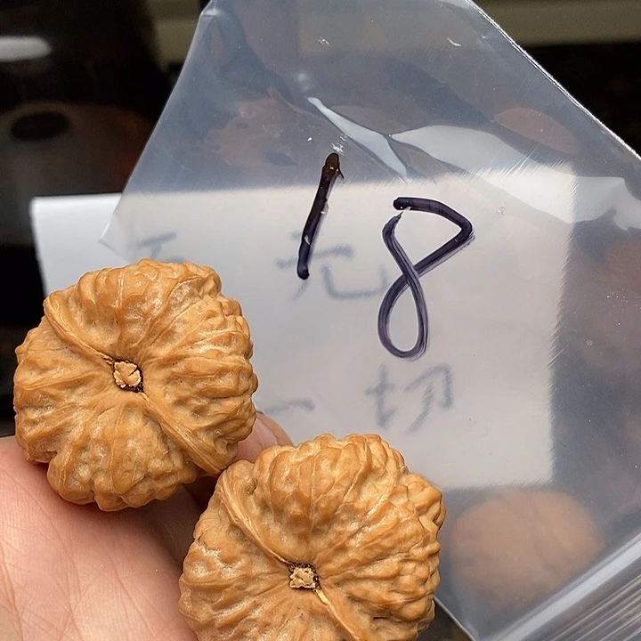 吊坠文玩核桃E4964694799779479