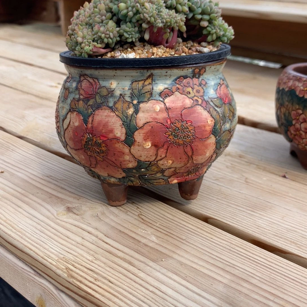 读*读者初见花盆发货多肉