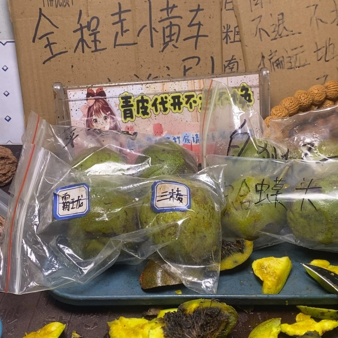 Zjc产地直发蛤蟆头15