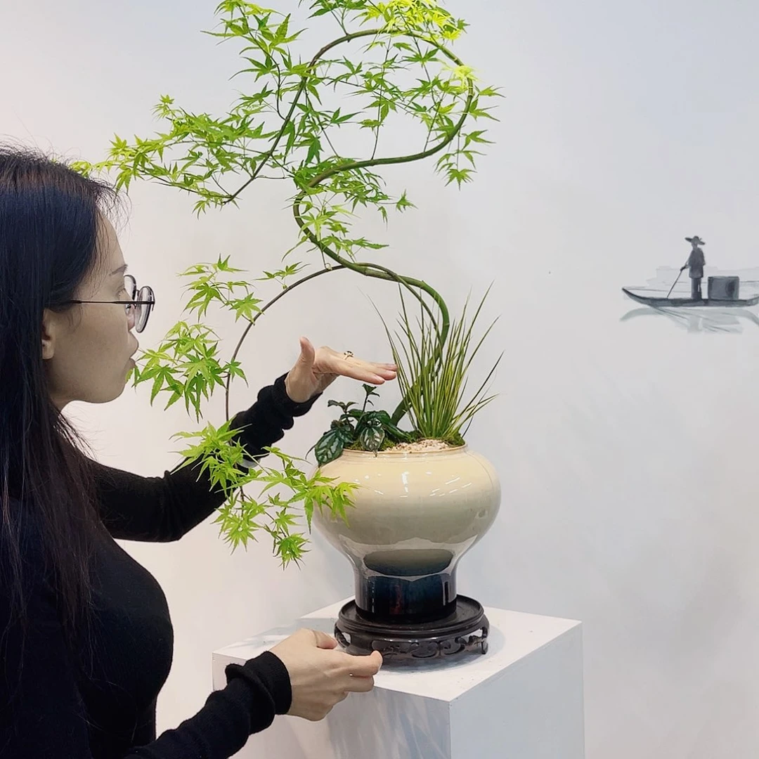 高端绿植一物一拍