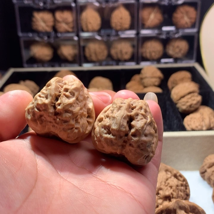 龙脊菩提吊坠全品练手蛤蟆