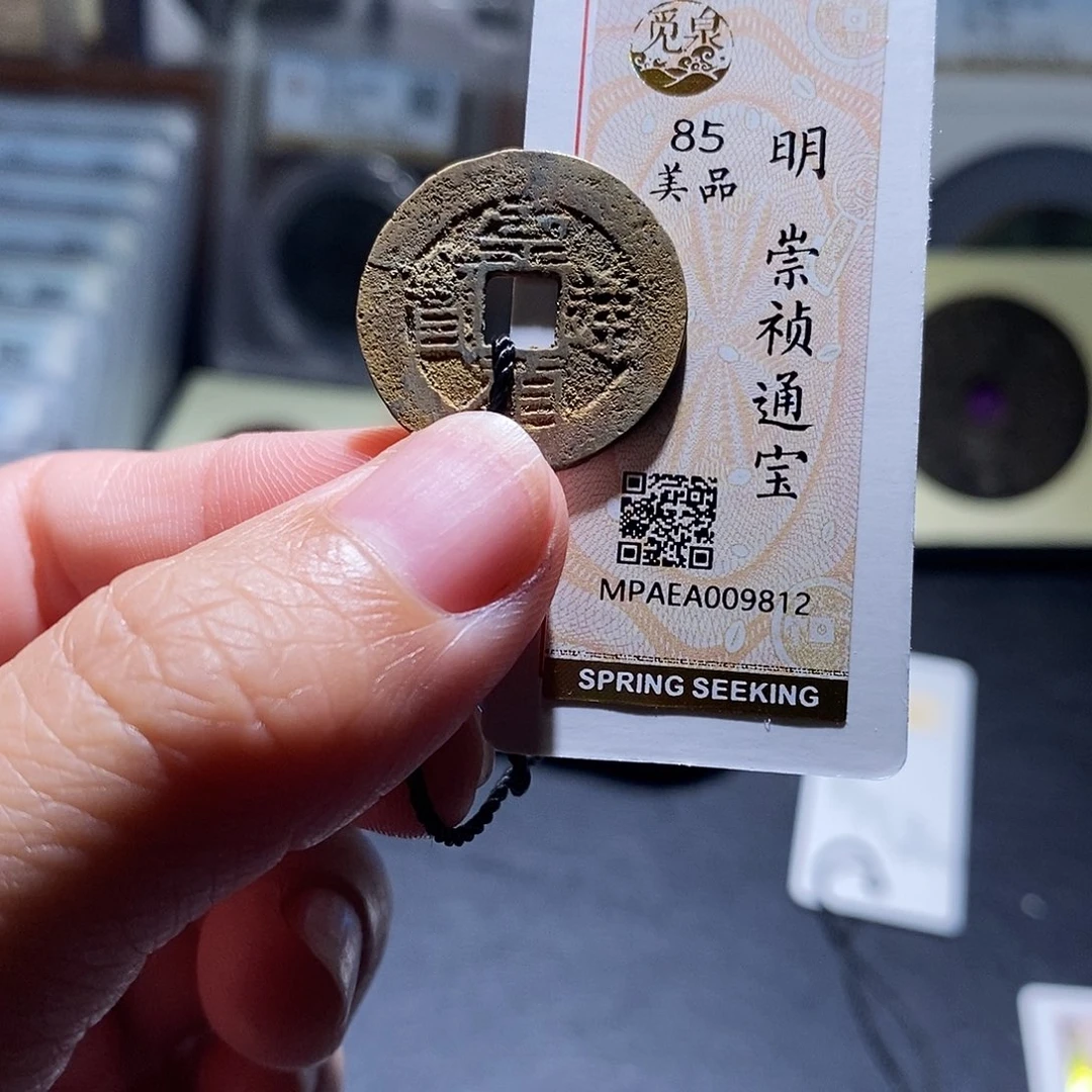 贝壳9 恭喜发财恭喜发财