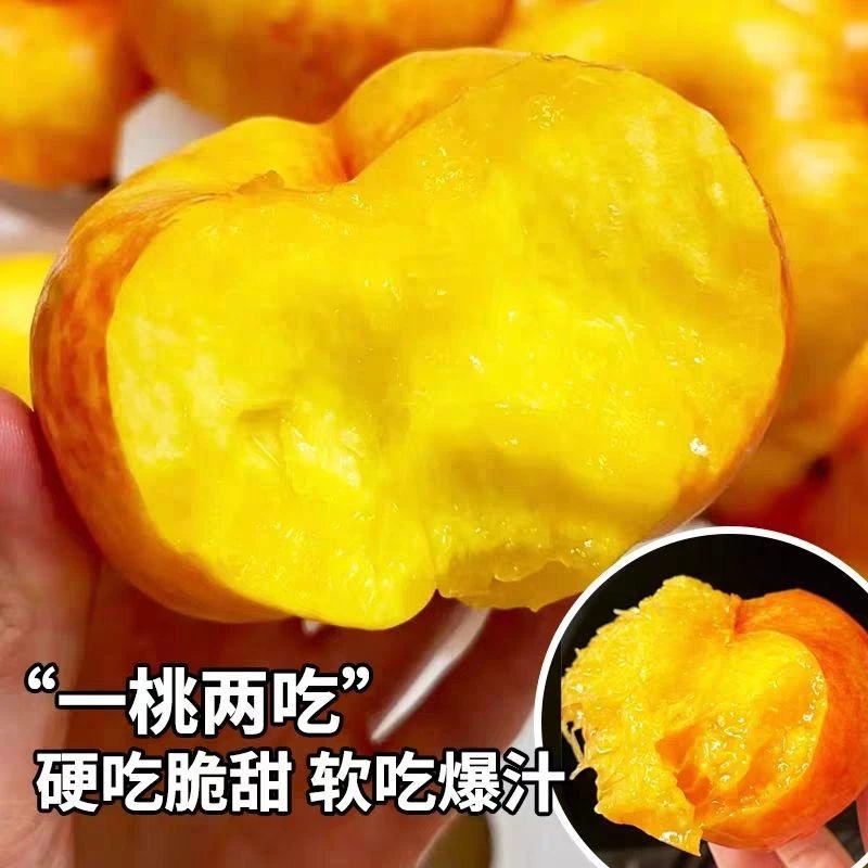 正宗彩虹油蟠桃新鲜应季水果皮薄甜嫩多汁黄油扁桃