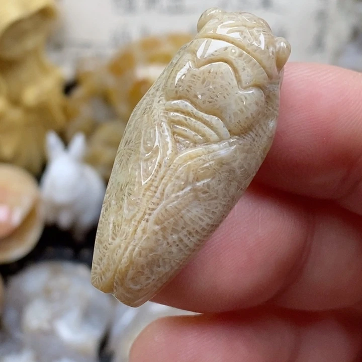 颈饰未镶嵌硅化珊瑚（珊瑚玉）小