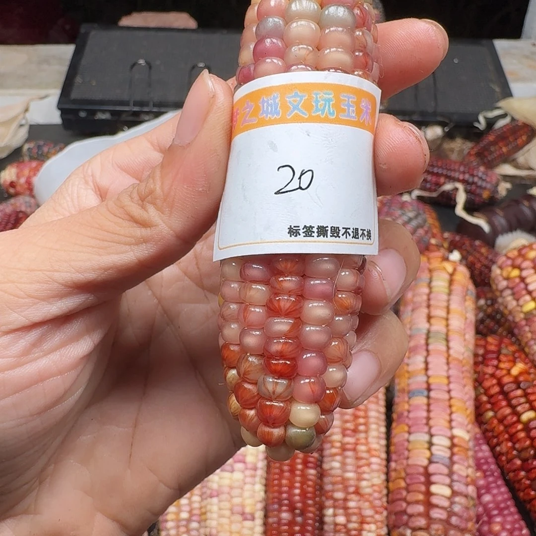 可***儿柏香籽/百香籽吊坠