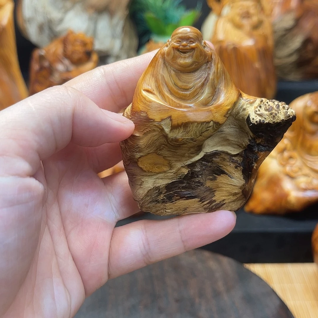 柏木888888888888888888