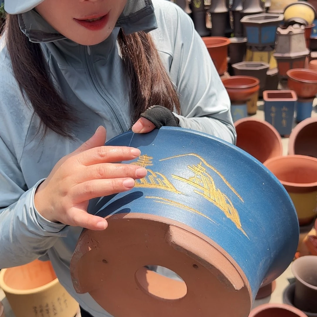 33蓝票口花盆花盆花盆