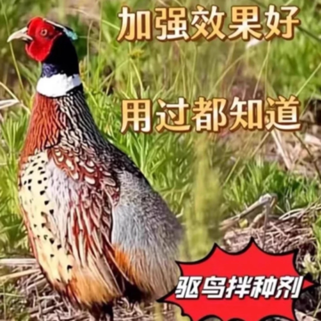 佳田喜康驱鸟包衣剂