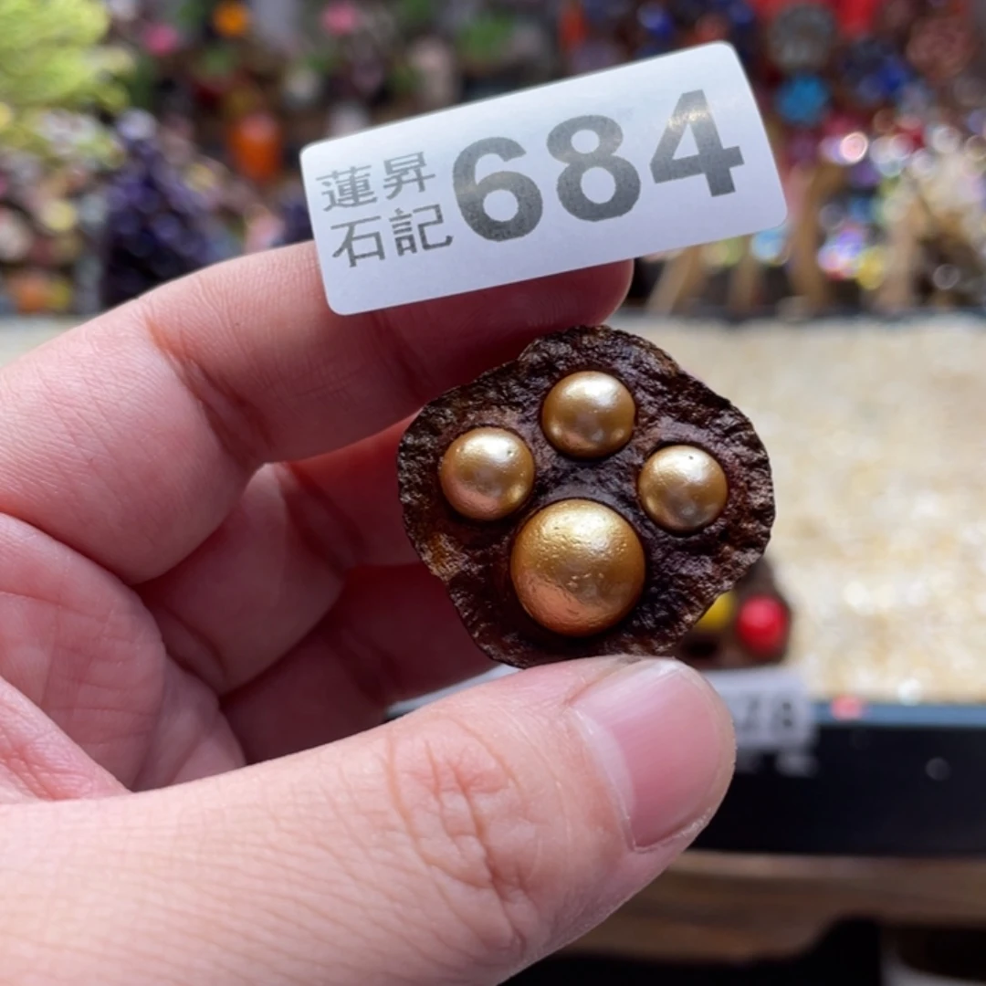 核桃木/黑胡桃（胡桃木）684