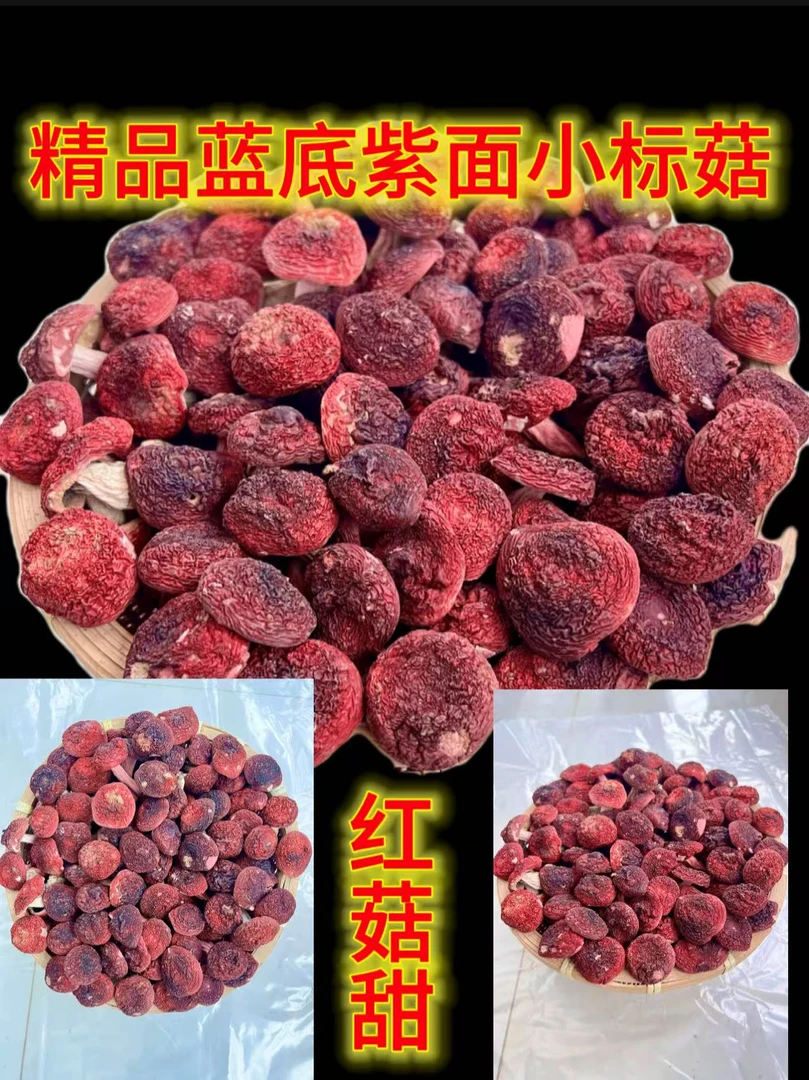柴烤蓝底正红菇   小标菇