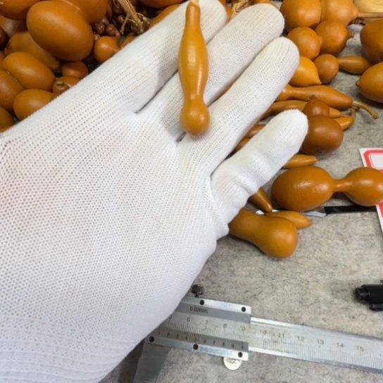 Y***歪的Y W的一把一把小本斩葫芦