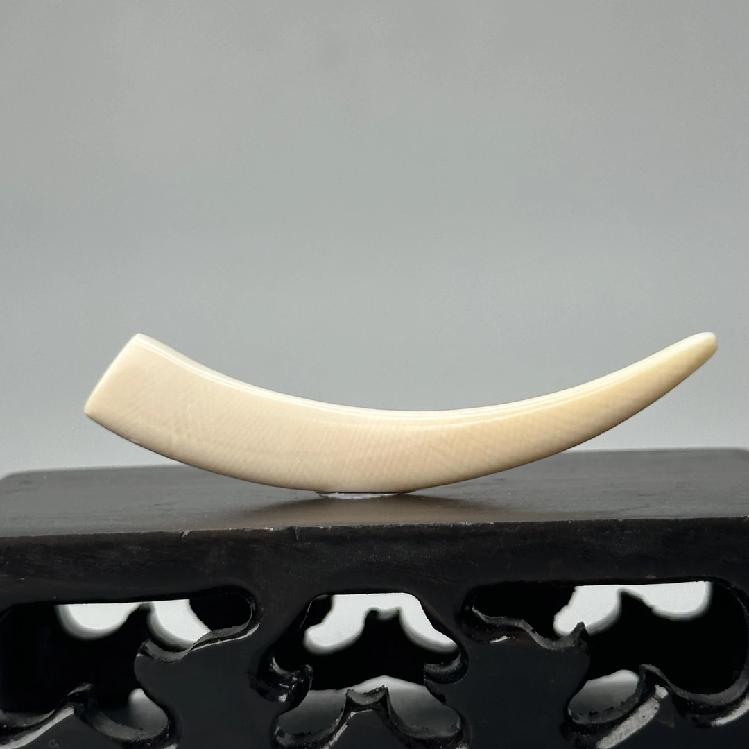 DEZHI/德志3g纯肉牙尖56*9*6mm天然猛犸牙默认打孔绑绳P299