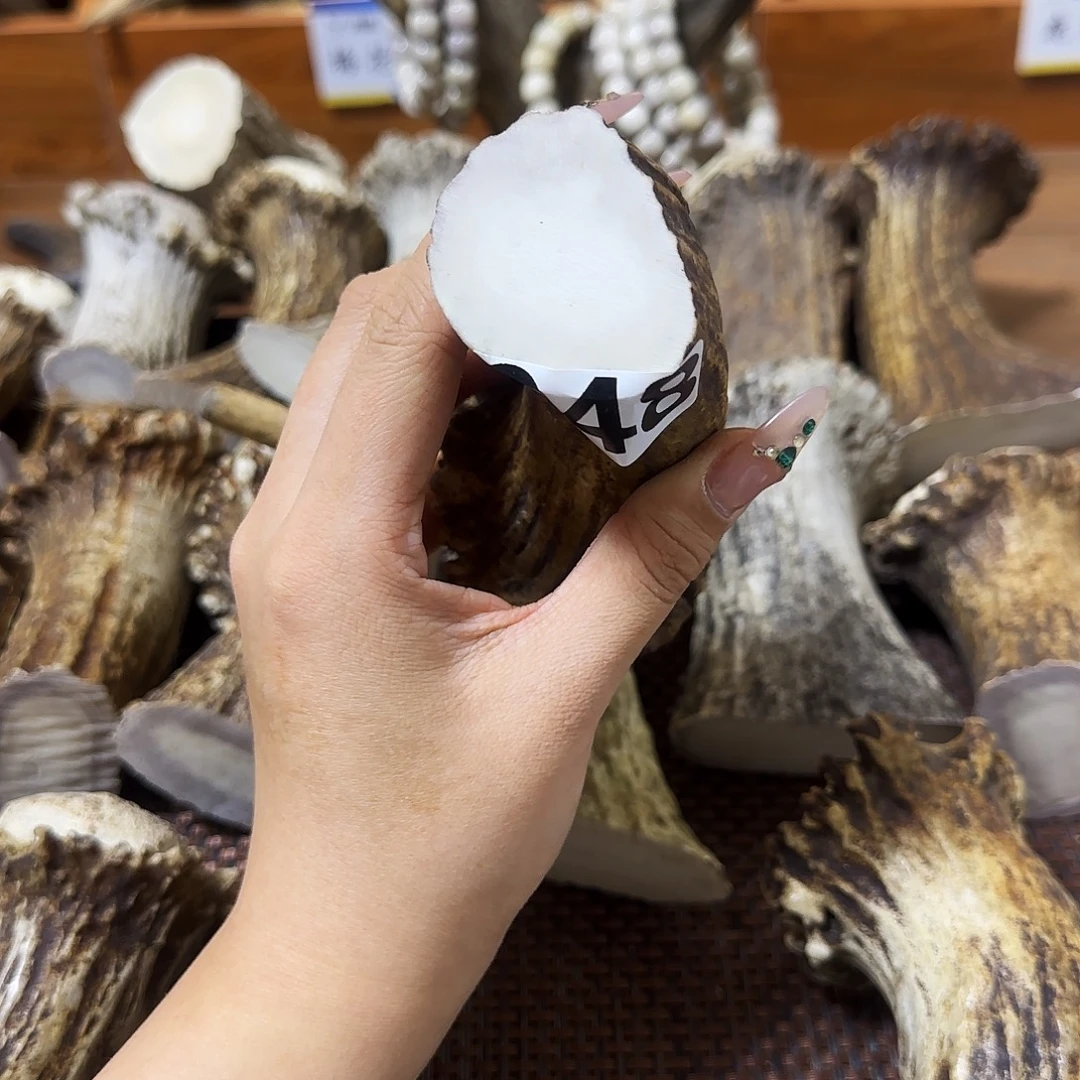 手串/手链鹿骨948角根