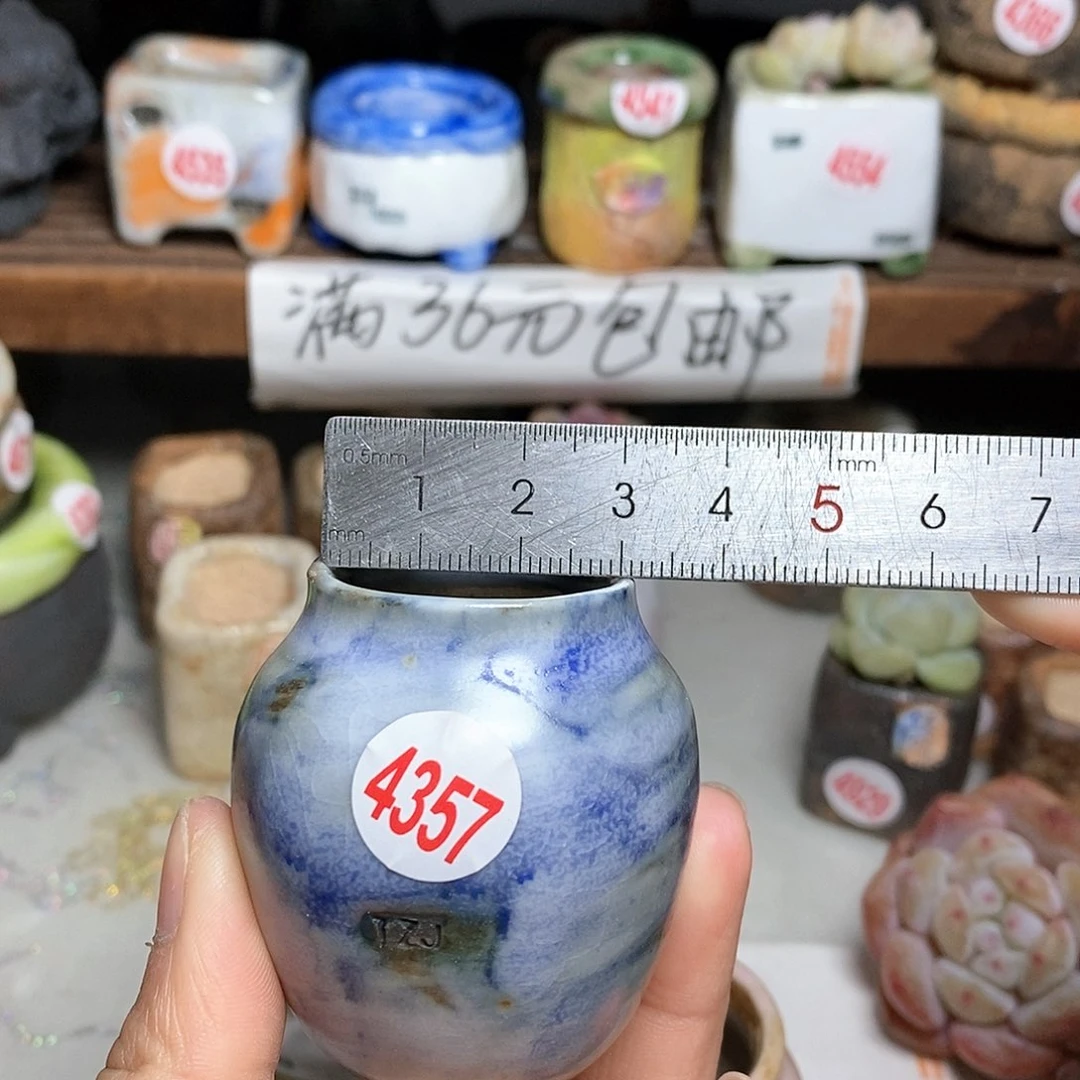 红陶拍5送一个小