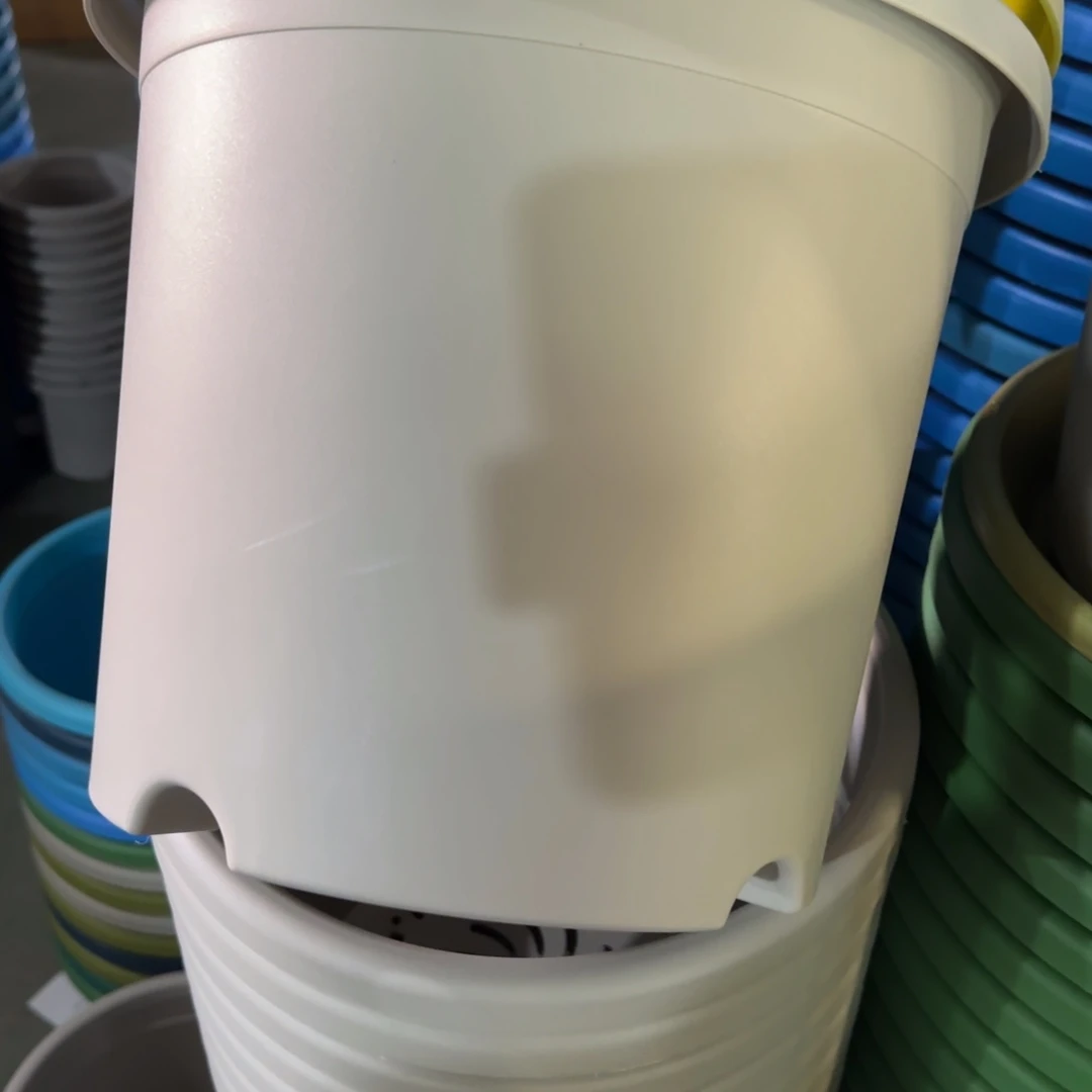 树脂特价5#无拖灰白6个