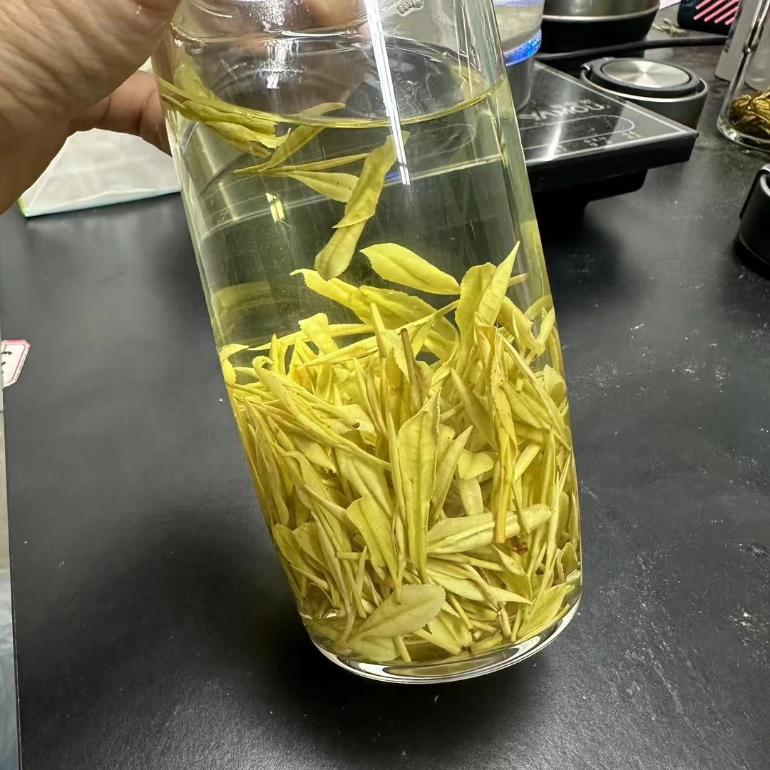 【临时8号链接】 2026新茶安吉本地茶