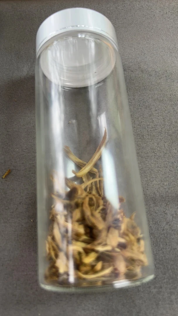 沉香奇楠沉香桶珠单圈福利款.多样性发一