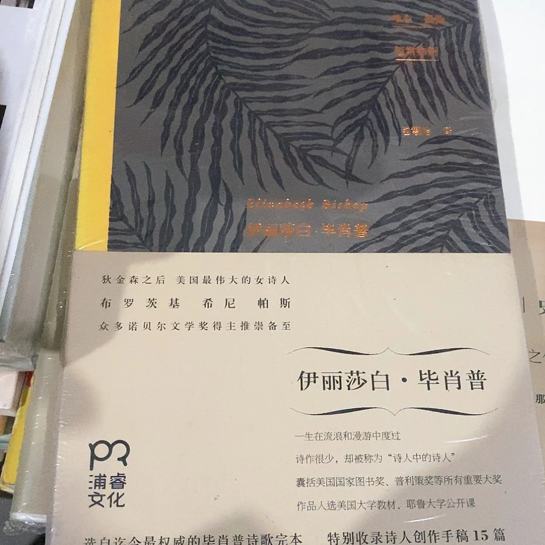 伊丽莎白毕肖普