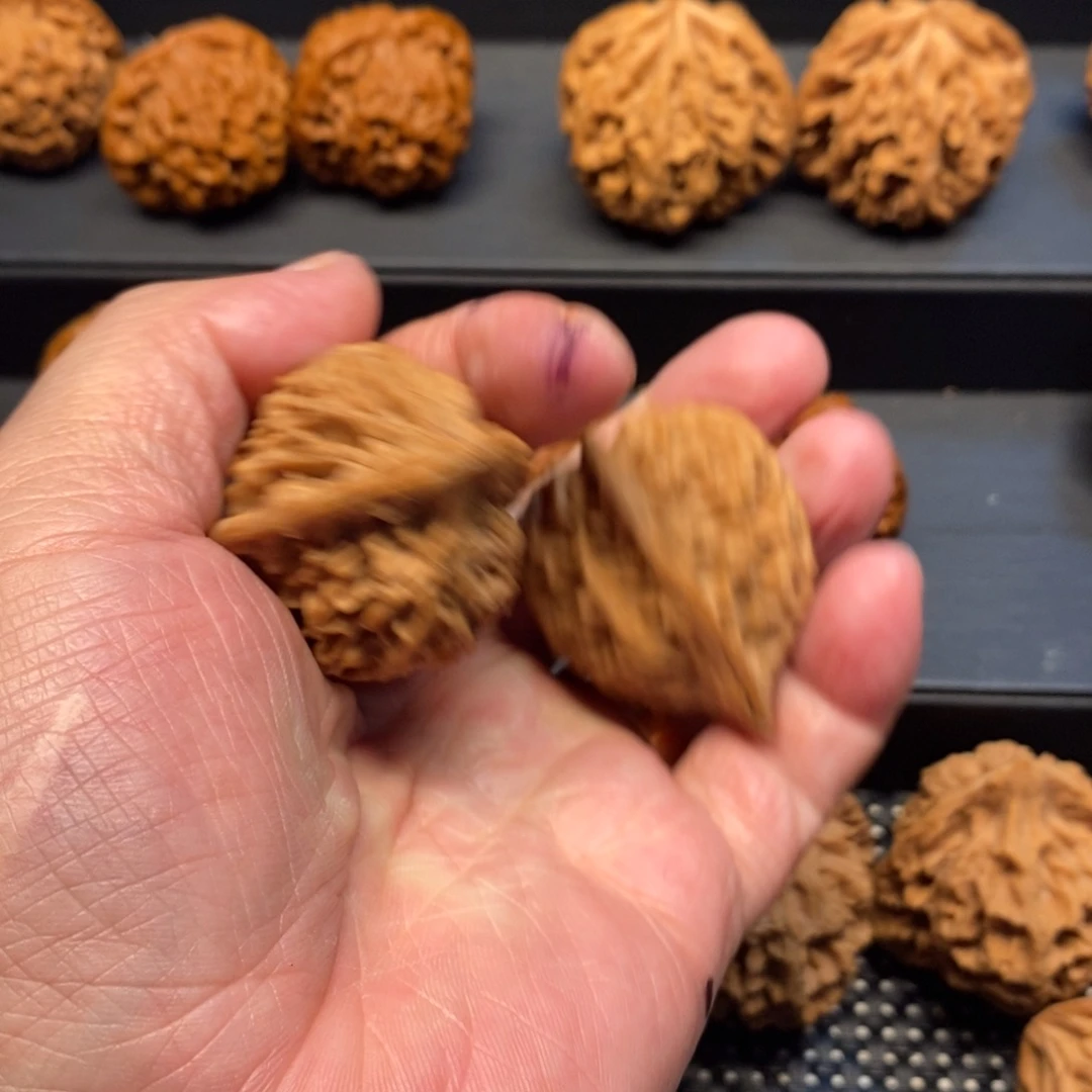 D***u手串/手链核桃秦岭山之恋在今甘肃临