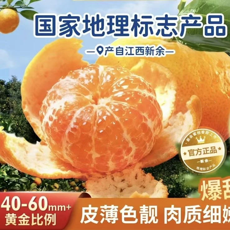 【顺丰包邮 送货上门】新余蜜桔新鲜应季水果源头产地直发老少皆宜