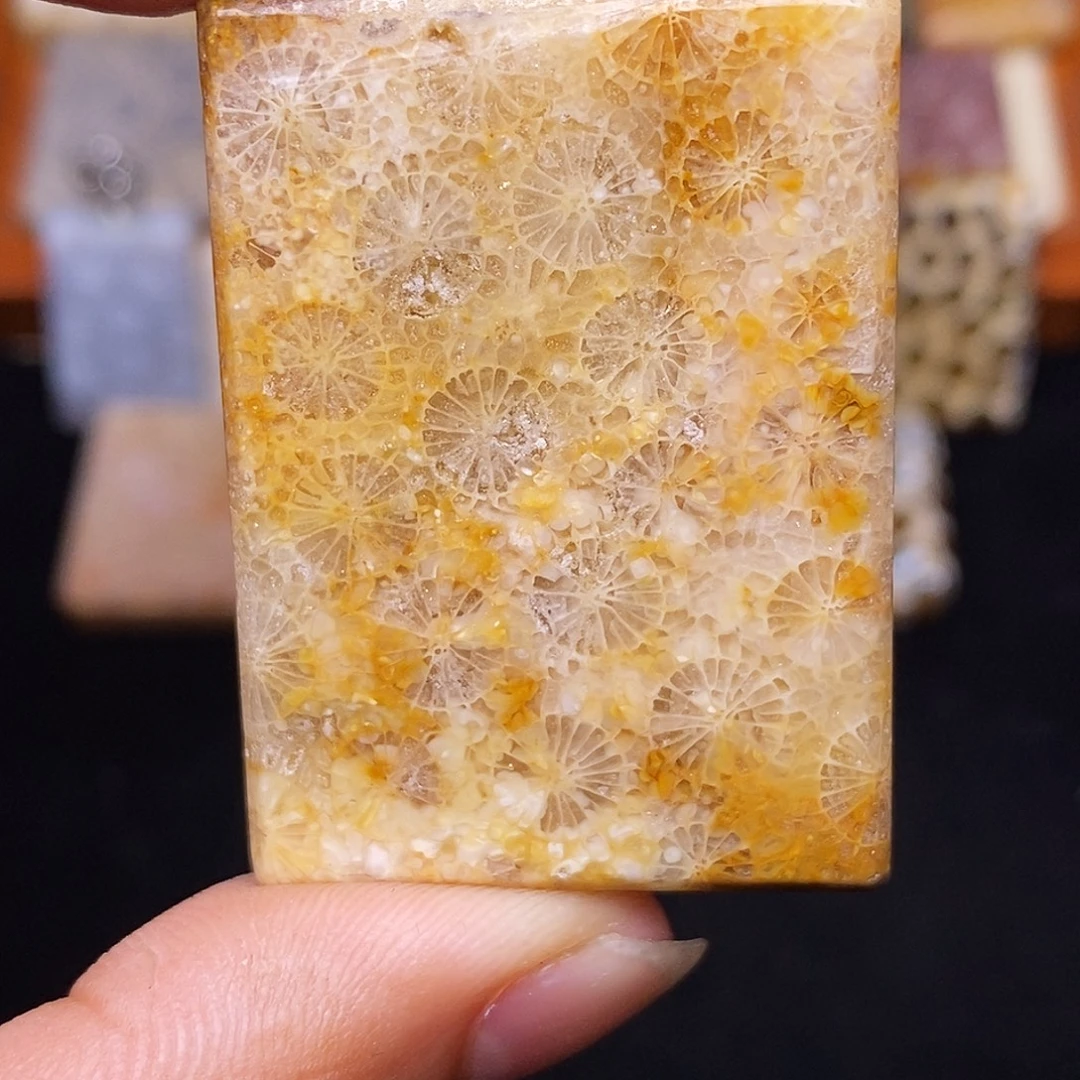 不***复合金珊瑚玉硅化玉