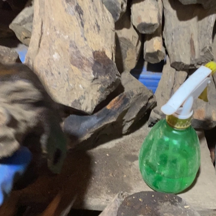 把件贡木一***次定制不退不换