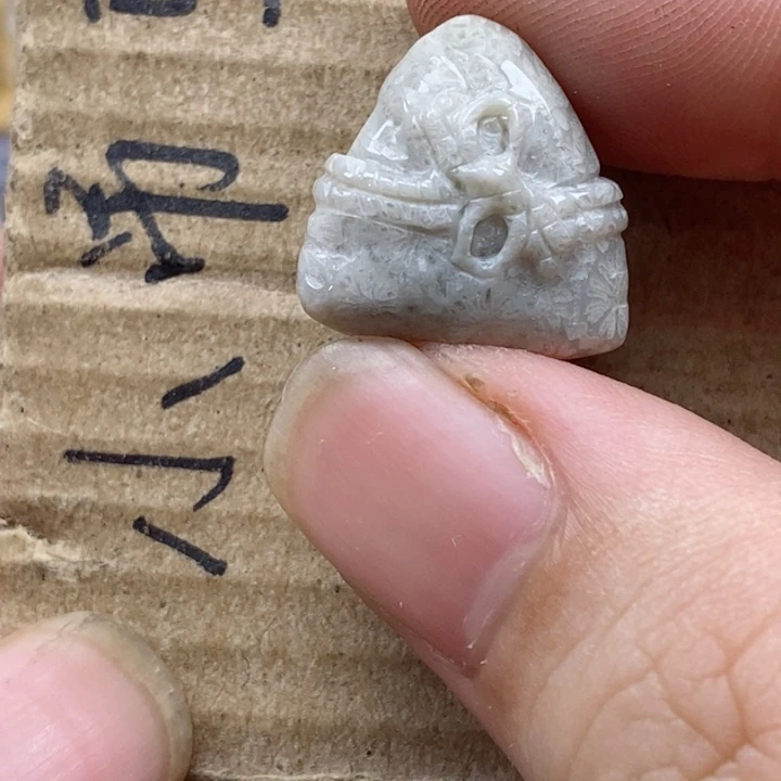 颈饰未镶嵌硅化珊瑚（珊瑚玉）s**.