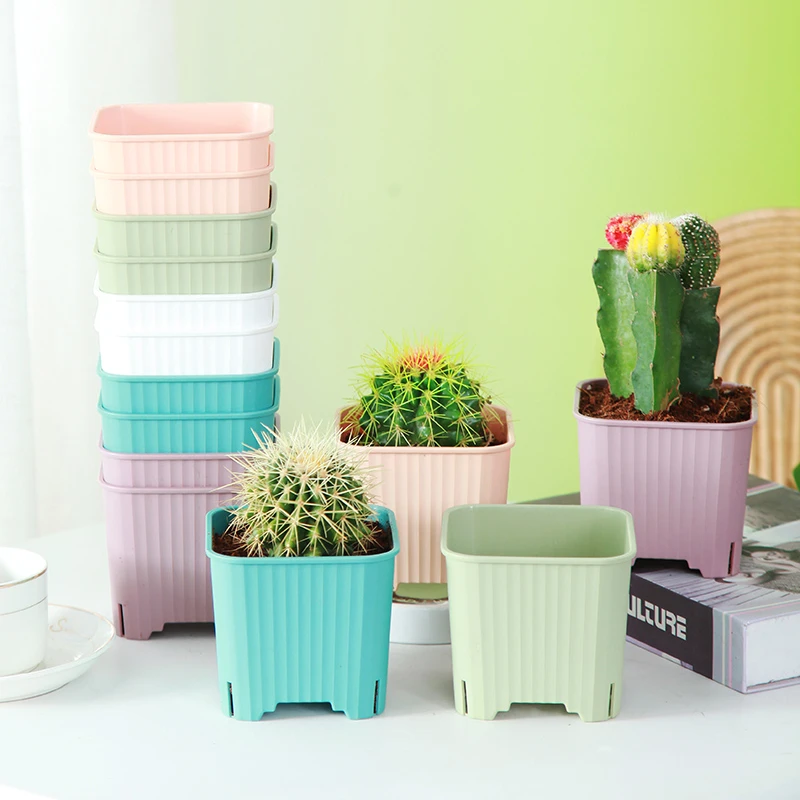 五色加厚方盆多肉仙人球小号花盆透气育苗PP料树脂糖果色耐用环保
