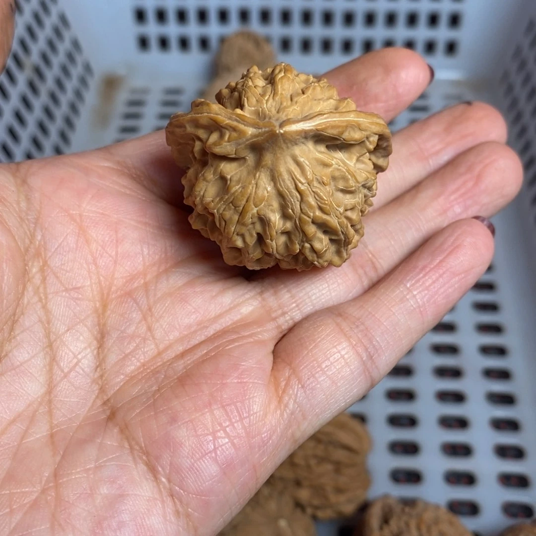 南***二文玩核桃把件文玩