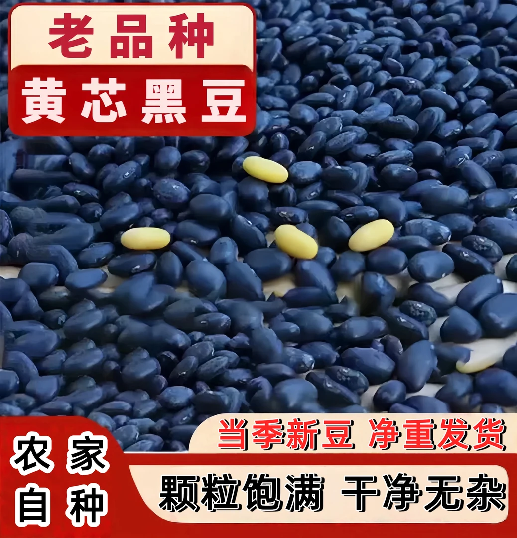肾形黑豆 黄心黑豆纯黑豆老品种黑豆生黑豆 雄黑豆东北黄心小黑豆
